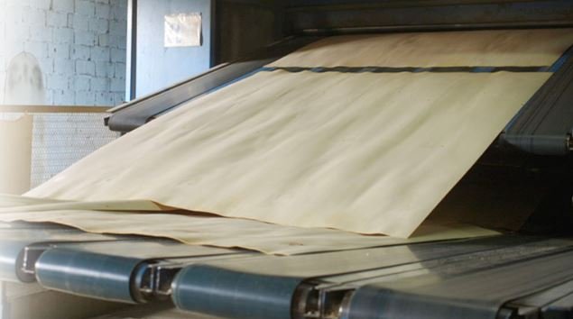 plywood production